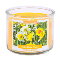 Svece Daffodils & Daisies Narcises un margrietiņas 12OZ